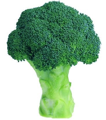 agro-neretva brokula green magic
