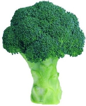 agro-neretva brokula green magic